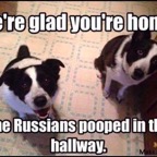 Silly-dogs-Russians-pooped-in-hallway.jpg