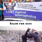 Stupid-Leftists-gays-and-Islam.jpg