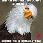 Stupid-Leftists-go-to-Canada.jpg