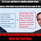 Ted-Cruz-a-winner-and-a-leader.jpg