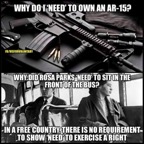 Rosa-Parks-civil-rights-guns.png