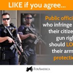 Public-officials-who-take-away-guns-should-lose-their-guns.jpg