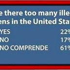 Immigration-too-many-illegals.jpg